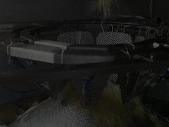 Otomatik Dikey Yüksek Hızlı Noodle Ağırlama ve Paketleme Makinesi